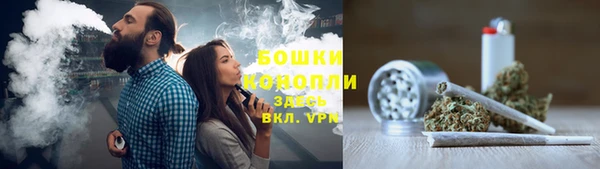винт Горняк