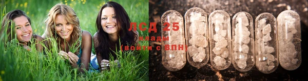 спиды Горнозаводск