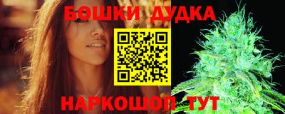 PSILOCYBIN Гатчина