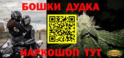 индика Гагарин