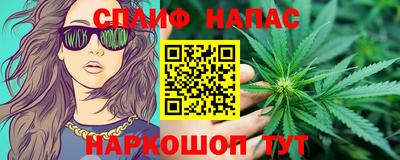 PSILOCYBIN Гатчина
