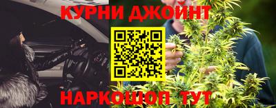 индика Гагарин