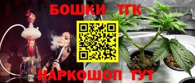 PSILOCYBIN Гатчина