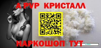 индика Гагарин