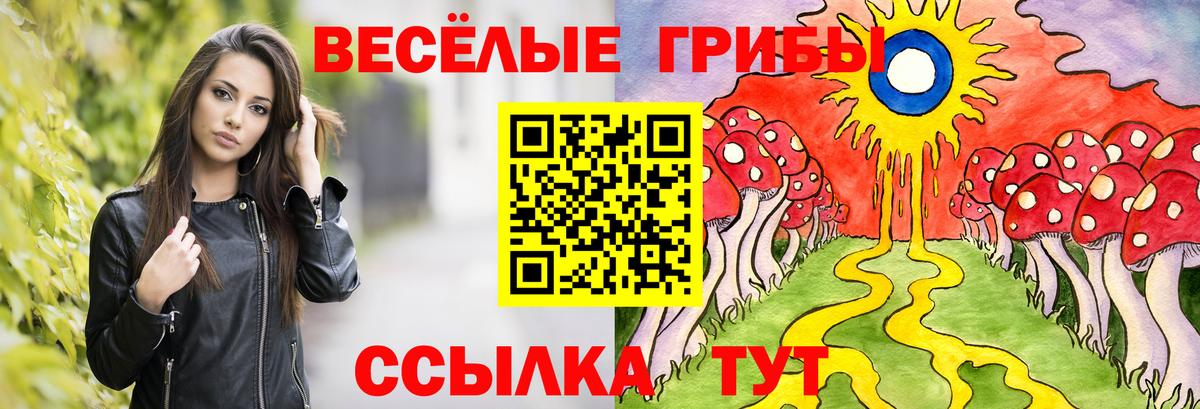 Псилоцибиновые грибы MAGIC MUSHROOMS Луховицы